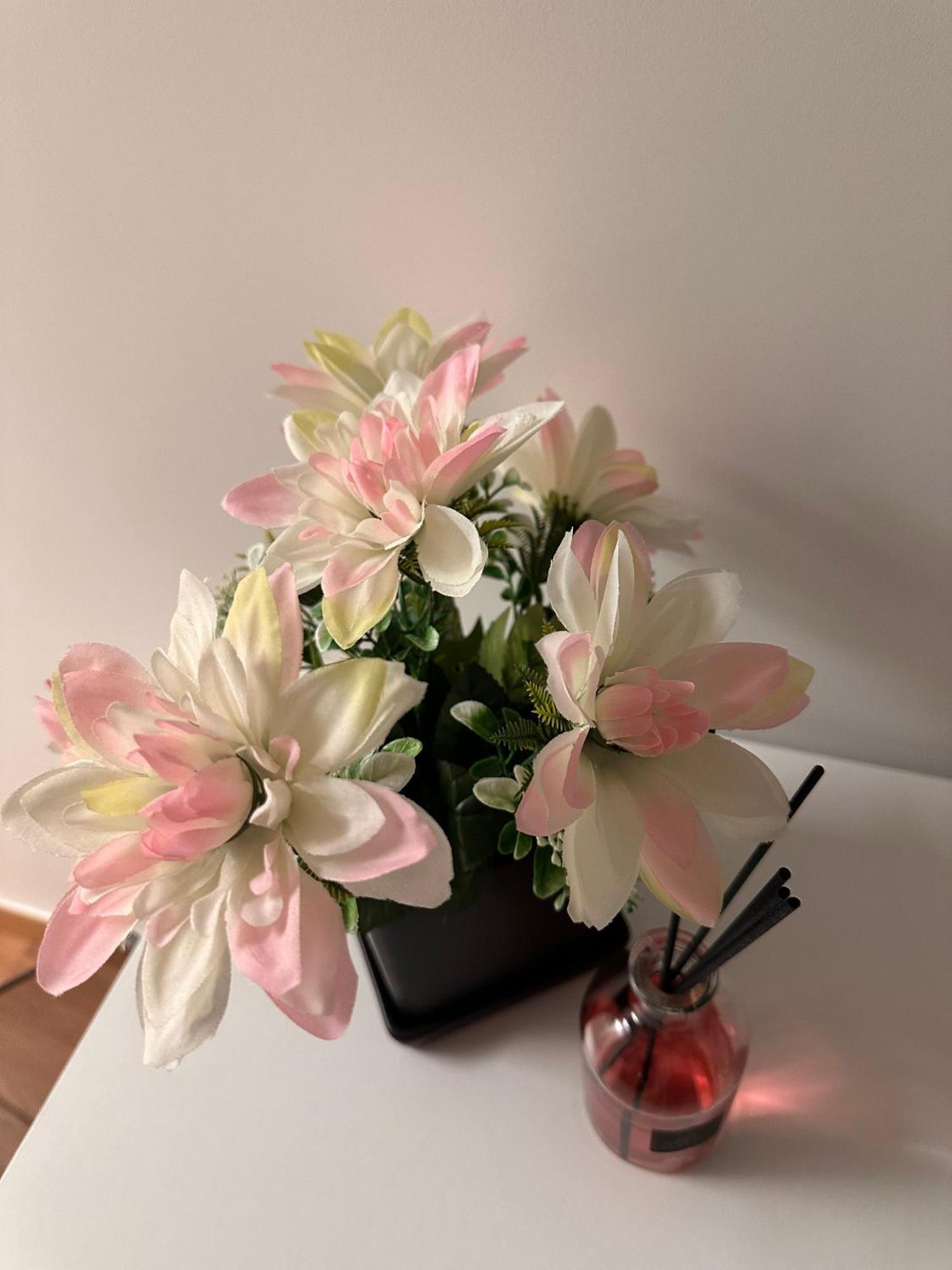 Bnb Nuova Vita Paola Buitenkant foto